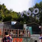 वनतारा फिर कोर्ट टेस्ट में पास, सुप्रीम कोर्ट ने नई अर्जी की खारिज.