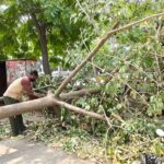 सीएम दी योगशाला के अंतर्गत 21 जून को गुरु नानक स्टेडियम, अमृतसर में मनाया जाएगा अंतर्राष्ट्रीय योग दिवस : अतिरिक्त उपायुक्त