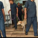 पटना में मुख्यमंत्री आवास व सचिवालय को उड़ाने की धमकी, बिहार में हाई अलर्ट, चप्पे-चप्पे की हो रही जांच