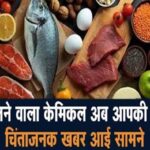 शव संभालने वाला केमिकल अब आपकी थाली में! चिंताजनक खबर आई सामने
