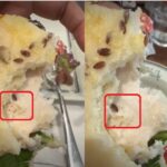Shocking Video: गुरुग्राम के एक पॉश रेस्टोरेंट में सैंडविच में मिला ज़िंदा कीड़ा