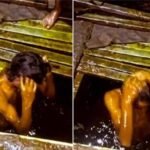 सरसों तेल के टैंकर में युवक ने लगाई डुबकी, Video वायरल होने पर भड़के लोग; गिरफ्तारी की मांग