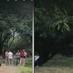 मानव कंकाल मिलने से सनसनी, कई सवालों में उलझी पुलिस, खड़ी हुई बड़ी चुनौती