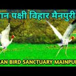 मैनपुरी में विकसित होगा मयंक ऋषि पक्षी विहार