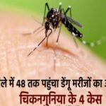 पंजाब के होशियारपुर जिले में 48 तक पहुंचा डेंगू मरीजों का आंकड़ा, चिकनगुनिया के 4 केस
