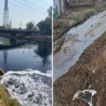 800 करोड़ खर्च के बाद भी बुड्ढा नाला प्रदूषित, शनिवार को अफसरों की चंडीगढ़ में पेशी